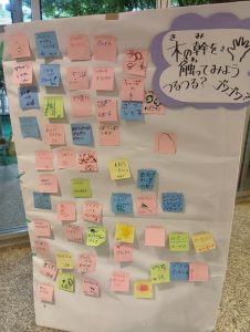 木の幹を触ってみよう